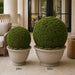35" Moss Ball-Shaped Artificial Foam Topiary -Green - A161875