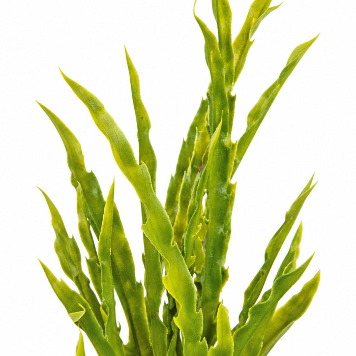 20" Artificial Plastic Grass Leaf Plant -Green/Yellow (Pack of 12) - A130510