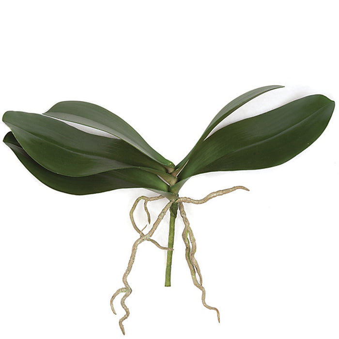 10" Artificial Phalaenopsis Orchid Leaf Plant Stem With Roots -Green (pack of 12) - A131806