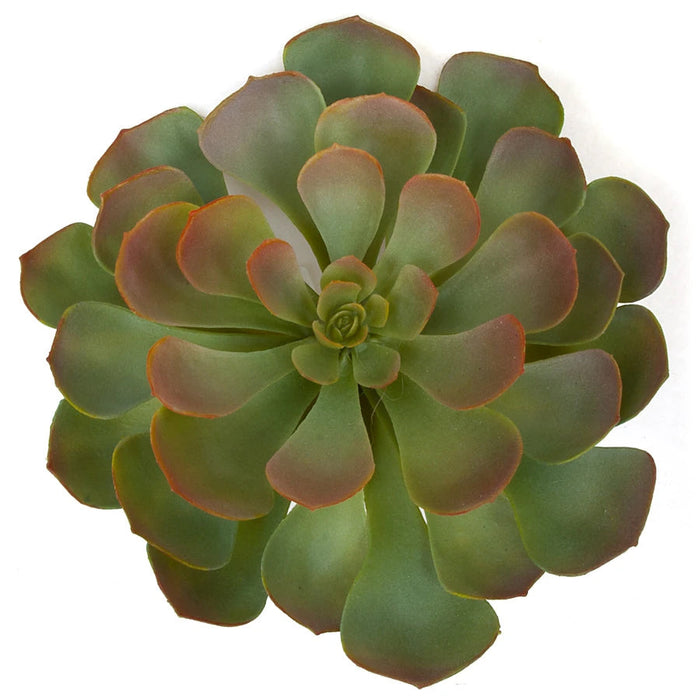 8"HX10"W Artificial Echeveria Stem -Green/Burgundy (Pack of 4) - A-131850