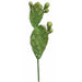 21" Artificial Pear Cactus Stem -Green (pack of 6) - A131910