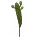17" Artificial Pear Cactus Stem -Green (pack of 12) - A131913