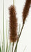 34" IFR PVC Artificial Onion Grass & Foxtail Stem -Dark Brown (pack of 24) - A14065-0BR