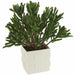 11.5" Artificial Coral Succulent Plant w/Pot -Green (pack of 2) - A141760