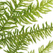 23" Glittered Artificial Noble Fir Stem -2 Tone Green (Pack of 24) - A-142170