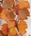 6' Artificial Plastic Gingko Leaf Garland -Orange/Gold (pack of 6) - A142360