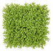 10"x10"x3" IFR Boxwood Artificial Mat -Light Green (Pack of 6) - AR150280