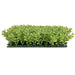 10"x10"x3" IFR Boxwood Artificial Mat -Light Green (Pack of 6) - AR150280