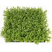 10"x10"x3" IFR Boxwood Artificial Mat -Light Green (Pack of 6) - AR150280