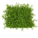 10"x10"x3" Mini Leaf Artificial Mat -Light Green (Pack of 6) - A150310