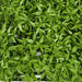 10"x10"x3" Mini Leaf Artificial Mat -Light Green (Pack of 6) - A150310