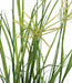 40" Artificial Flowering River Grass Plant -Green (pack of 2) - A151745