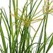 40" Artificial Flowering River Grass Plant -Green (Pack of 2) - A151745