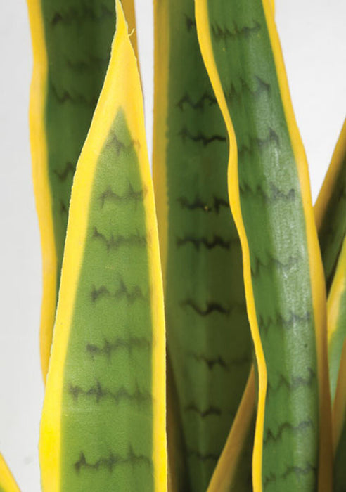 faux snake plant leaves 39" Sansevieria Snake Artificial Plant w/Pot -Green/Yellow