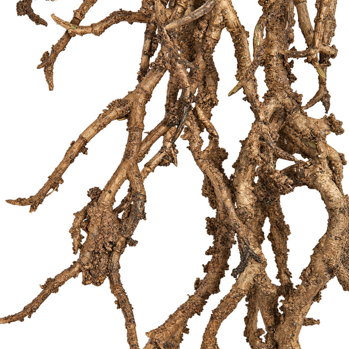 5'6" Artificial Coral Twig Vine -Brown (Pack of 4) - A152110