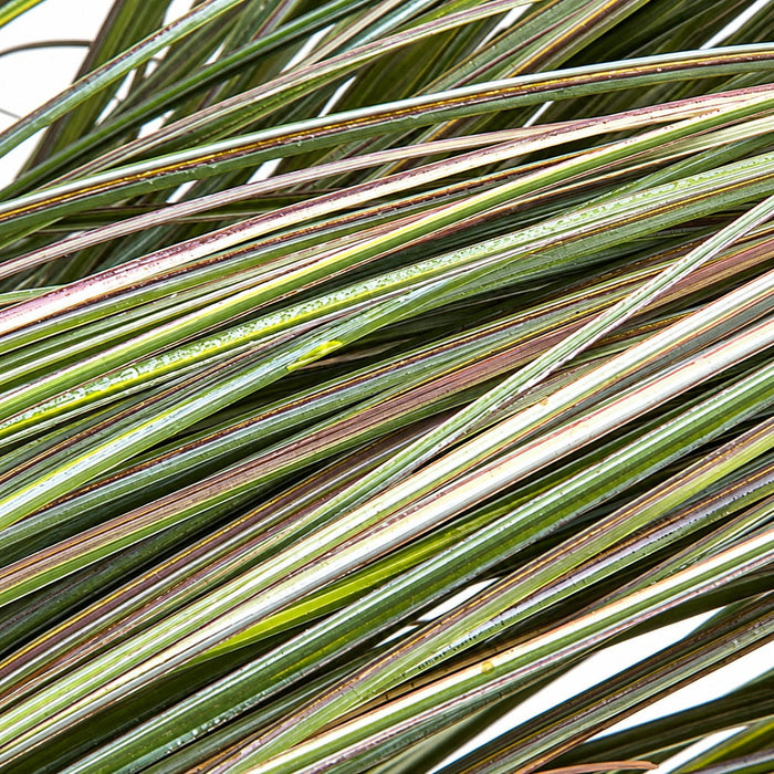 30" IFR PVC Onion Grass Artificial Plant w/Pot -Green/Tan - A160185