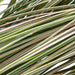 30" IFR PVC Onion Grass Artificial Plant w/Pot -Green/Tan - A160185