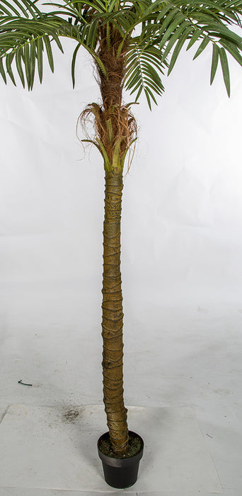 7' Phoenix Date Silk Palm Tree w/Pot -Green - A160240
