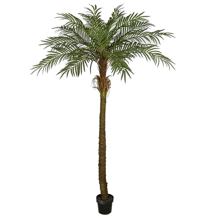 7' Phoenix Date Silk Palm Tree w/Pot -Green - A160240