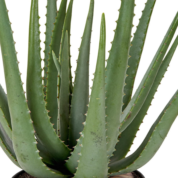 22" Soft-Touch Artificial Aloe Succulent Plant w/Pot -Green - A-160265