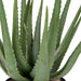 22" Soft-Touch Artificial Aloe Succulent Plant w/Pot -Green - A-160265