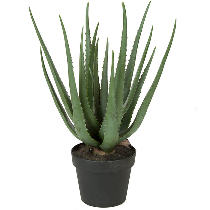 22" Soft-Touch Artificial Aloe Succulent Plant w/Pot -Green - A-160265