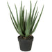 22" Soft-Touch Artificial Aloe Succulent Plant w/Pot -Green - A-160265