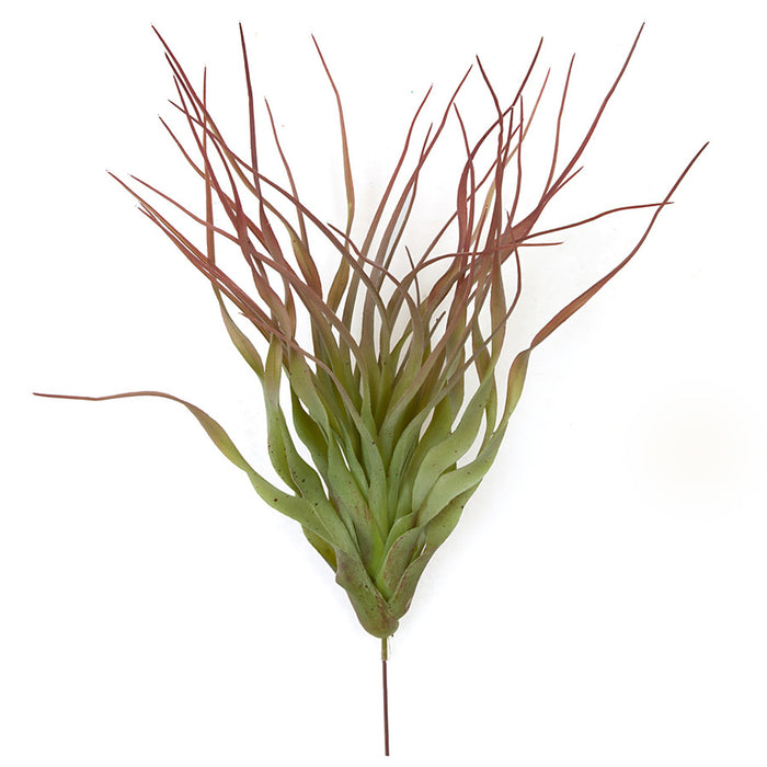 fake air plants that look real 12" Artificial Tillandsia Air Plant -Burgundy/Green — Silks Are Forever