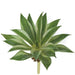 6" Artificial Agave Stem Pick -Green/Cream (Pack of 12) - A161090
