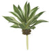 6" Artificial Agave Stem Pick -Green/Cream (Pack of 12) - A161090
