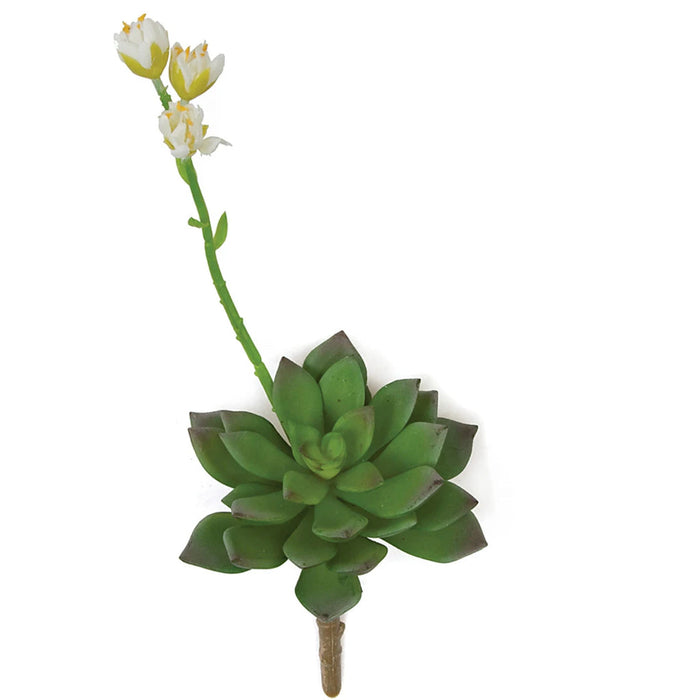 11"HX4.5"W Artificial Flowering Echeveria Stem -White/Green (Pack of 12) - A-161470