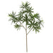 21.5" Artificial Podocarpus Leaf Stem -Green (pack of 12) - A161880