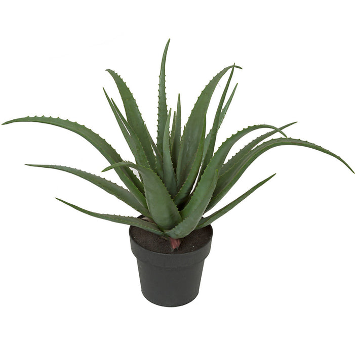 soft succulent plants 26" Soft-Touch Artificial Aloe Succulent Plant w/Pot -Green — Silks Are Forever