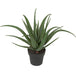 26" Soft-Touch Artificial Aloe Succulent Plant w/Pot -Green - A-162110