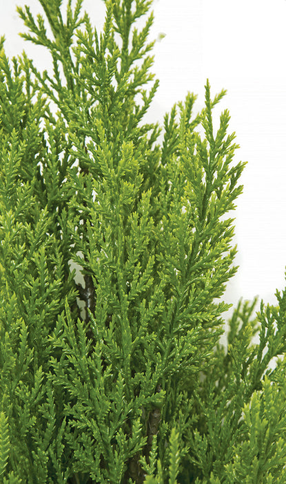 20" UV-Proof Outdoor Artificial Pine Plant -Lime Green (pack of 12) - A-164170