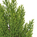 20" Outdoor UV-Proof Artificial Pine Plant -Lime Green (Pack of 12) - A-164170