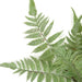 16" Artificial Plastic Fern Plant -Green/Gray (pack of 24) - A172110