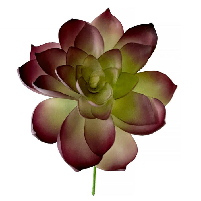 5"HX4"W Artificial Echeveria Stem -Purple/Green (Pack of 12) - A-172150