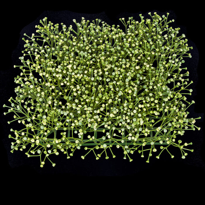 13"x13" Artificial Baby's Breath Gypsophila Flower Mat -Cream/Green (Pack of 6) - A-173370