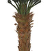 5'6"Hx68"W Outdoor UV-Proof Artificial Sago Cycas Palm Tree -36 Fronds -Green - A174680