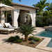 3'6"Hx48"W Outdoor UV-Proof Artificial Sago Cycas Palm Tree -36 Fronds -Green - A174530