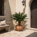 3'6"Hx48"W Outdoor UV-Proof Artificial Sago Cycas Palm Tree -36 Fronds -Green - A174530