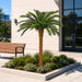 6'6"Hx48"W Outdoor UV-Proof Artificial Sago Cycas Palm Tree -36 Fronds -Green - A174600