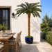 6'6"Hx48"W Outdoor UV-Proof Artificial Sago Cycas Palm Tree -36 Fronds -Green - A174600
