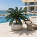 4'6"Hx68"W Outdoor UV-Proof Artificial Sago Cycas Palm Tree -36 Fronds -Green - A174660