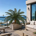4'6"Hx68"W Outdoor UV-Proof Artificial Sago Cycas Palm Tree -36 Fronds -Green - A174660