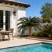 5'6"Hx68"W Outdoor UV-Proof Artificial Sago Cycas Palm Tree -36 Fronds -Green - A174680