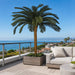 7'6"Hx68"W Outdoor UV-Proof Artificial Sago Cycas Palm Tree -36 Fronds -Green - A174700