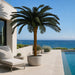 7'6"Hx68"W Outdoor UV-Proof Artificial Sago Cycas Palm Tree -36 Fronds -Green - A174700