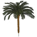 7'6"Hx68"W Outdoor UV-Proof Artificial Sago Cycas Palm Tree -36 Fronds -Green - A174700